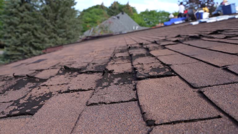 Best Sheet Metal Roofing  in Herington, KS