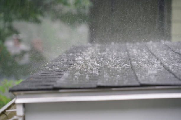 Best Roof Ventilation Installation  in Herington, KS