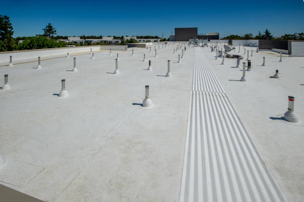 Best Asphalt Shingles Roofing  in Herington, KS